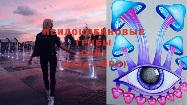 apvp Нягань