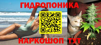 СК Волжск