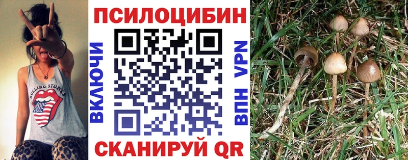 Галлюциногенные грибы ЛСД  Кохма 