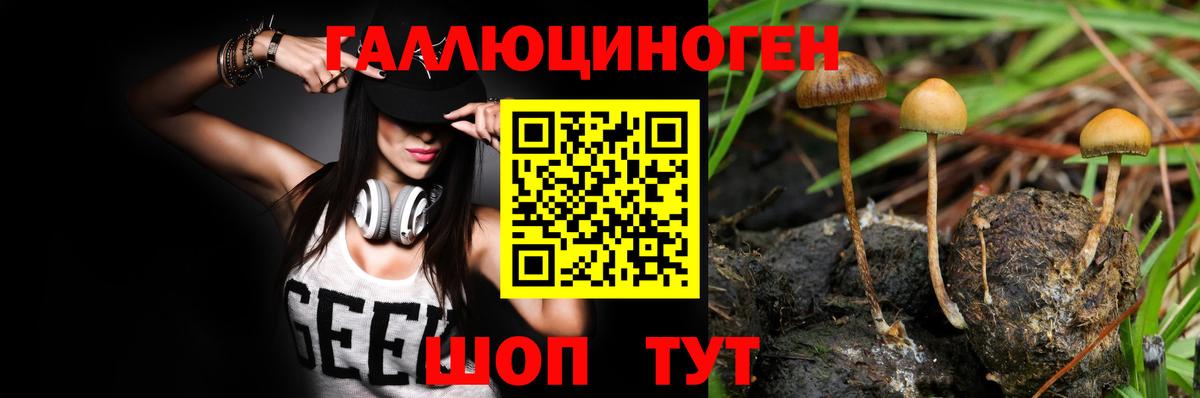 Кохма  Псилоцибиновые грибы прущие грибы  Вход с VPN 